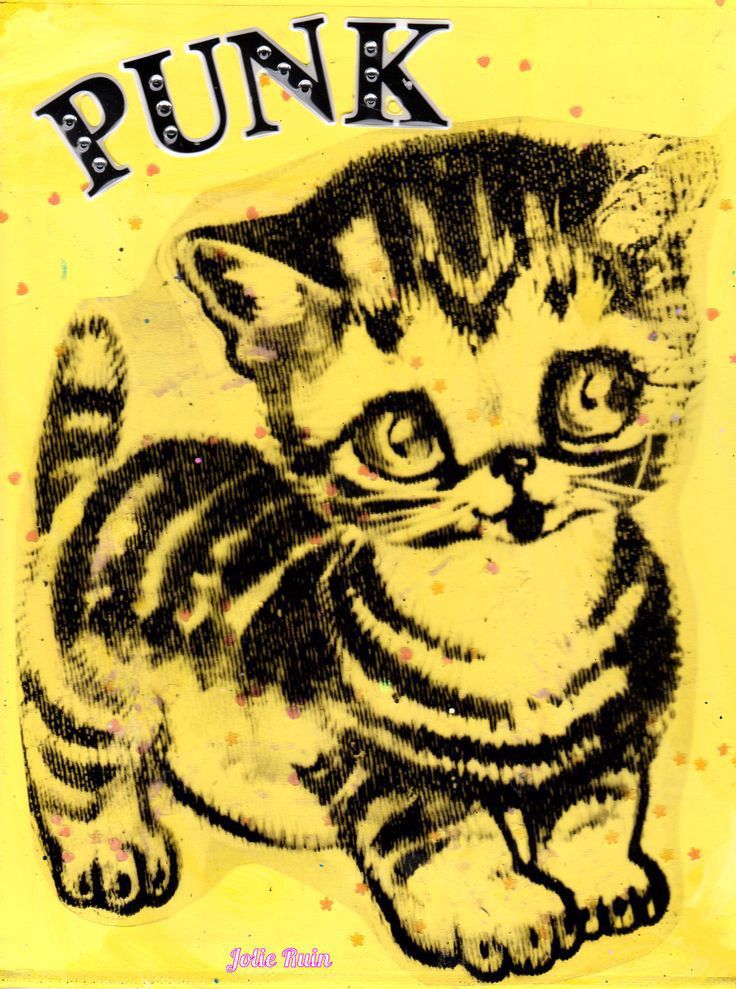 Punk Kitty